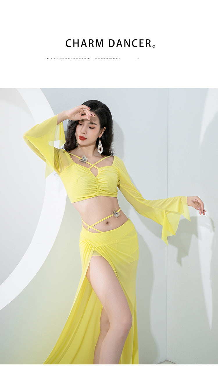 Belly dance training dress 2023 autumn and winter new fashion thin Oriental dance sexy water yarn long sleeve slit skirt set