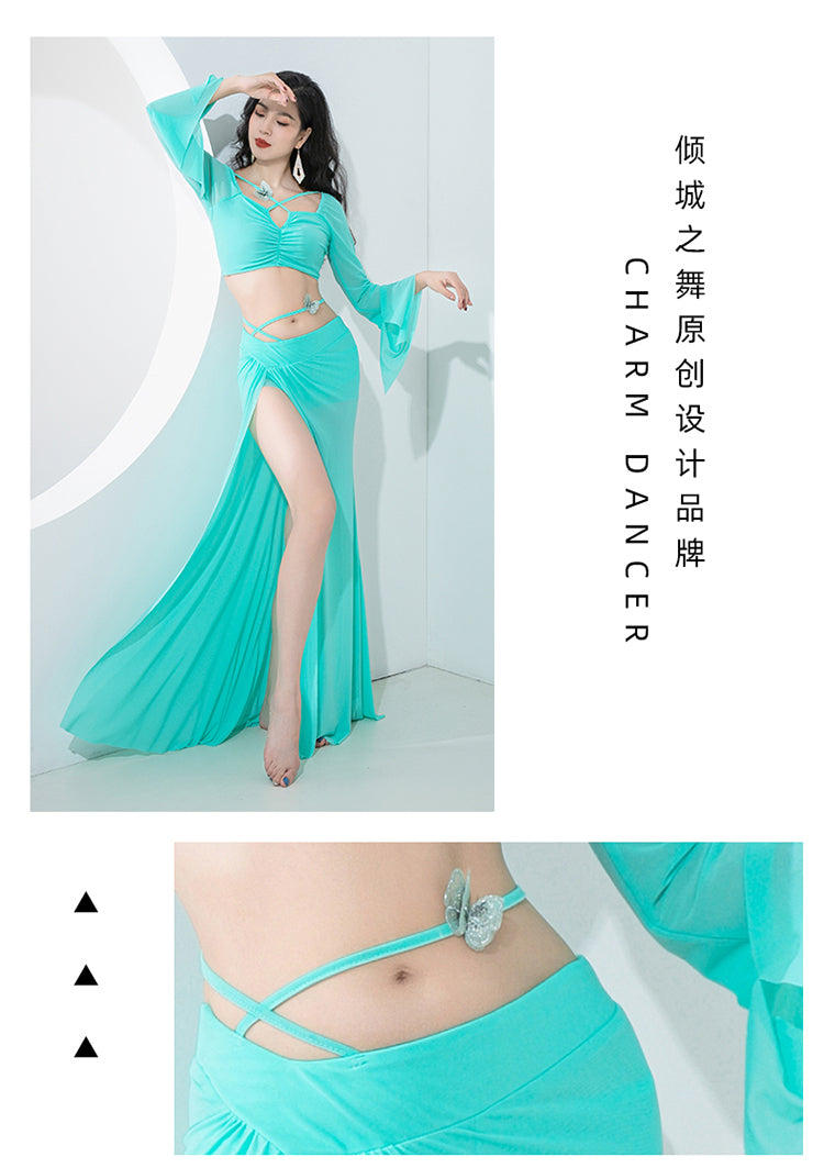 Belly dance training dress 2023 autumn and winter new fashion thin Oriental dance sexy water yarn long sleeve slit skirt set